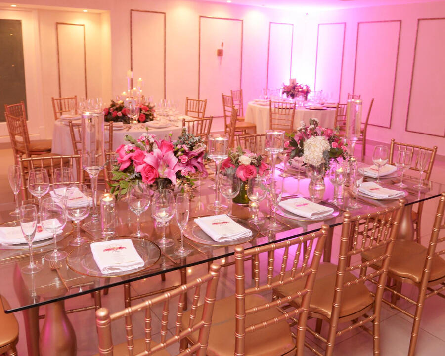Noveca Events Planner celebration